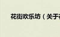 花街欢乐坊（关于花街欢乐坊的简介）