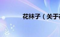 花袜子（关于花袜子的简介）
