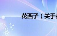 花西子（关于花西子的简介）