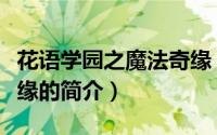 花语学园之魔法奇缘（关于花语学园之魔法奇缘的简介）