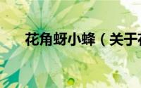 花角蚜小蜂（关于花角蚜小蜂的简介）