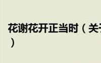 花谢花开正当时（关于花谢花开正当时的简介）