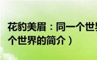 花豹美眉：同一个世界（关于花豹美眉：同一个世界的简介）