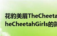 花豹美眉TheCheetahGirls（关于花豹美眉TheCheetahGirls的简介）