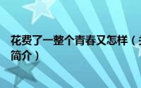 花费了一整个青春又怎样（关于花费了一整个青春又怎样的简介）