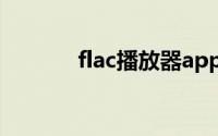 flac播放器app（flac播放器）
