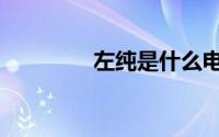 左纯是什么电视剧（左纯）