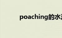 poaching的水温（poaching）