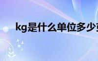 kg是什么单位多少克（kg是什么单位）