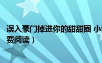 误入豪门掉进你的甜甜圈 小说（误入豪门掉进你的甜甜圈免费阅读）