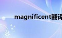 magnificent翻译（magnificent）