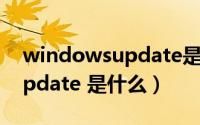 windowsupdate是什么东西（windows update 是什么）