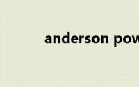 anderson power（aderson）