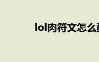 lol肉符文怎么配（lol肉符文）