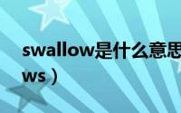 swallow是什么意思中文翻译动物（swallows）