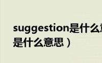 suggestion是什么意思中文（suggestion是什么意思）