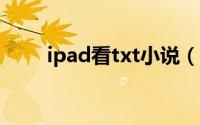ipad看txt小说（ipad看小说软件）