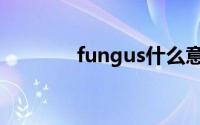 fungus什么意思（fungus）