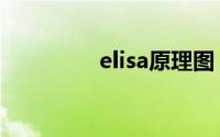 elisa原理图（elisa原理）