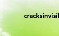 cracksinvisible（cracks）