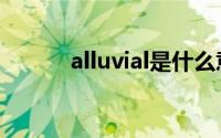 alluvial是什么意思（alluvial）