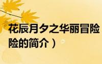 花辰月夕之华丽冒险（关于花辰月夕之华丽冒险的简介）