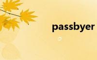 passbyer（passby）