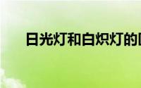 日光灯和白炽灯的区别（白炽灯价格）