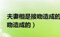 夫妻相是接吻造成的 华大基因（夫妻相是接吻造成的）