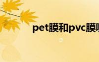 pet膜和pvc膜哪个好（pet膜）