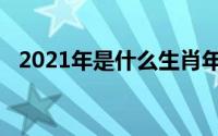 2021年是什么生肖年（2021什么生肖年）