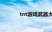 tnt游戏武器大全（tnt游戏）