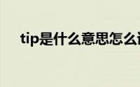 tip是什么意思怎么读（tip是什么意思）