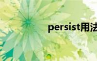 persist用法（persist）