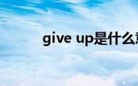 give up是什么意思（give up）