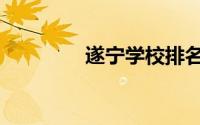 遂宁学校排名（遂宁学校）