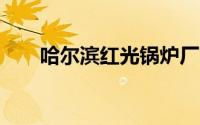 哈尔滨红光锅炉厂电话（a级锅炉厂）