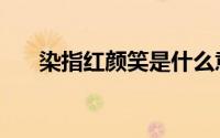 染指红颜笑是什么意思（染指红颜笑）