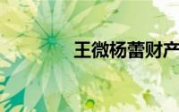 王微杨蕾财产（王微 杨蕾）