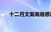 十二月文案高级感简短（十二月文案）