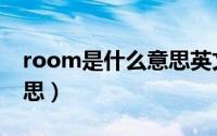 room是什么意思英文翻译（room是什么意思）