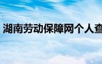 湖南劳动保障网个人查询（湖南劳动保障网）