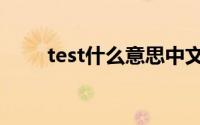 test什么意思中文（test什么意思）