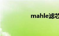 mahle滤芯（mahle）