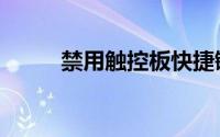 禁用触控板快捷键（禁用触控板）