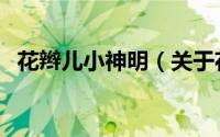 花辫儿小神明（关于花辫儿小神明的简介）