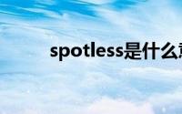 spotless是什么意思（spotless）
