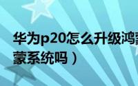 华为p20怎么升级鸿蒙系统（p20可以升级鸿蒙系统吗）