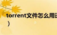 torrent文件怎么用迅雷下载（torrent 文件）