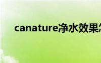 canature净水效果怎么样（canature）